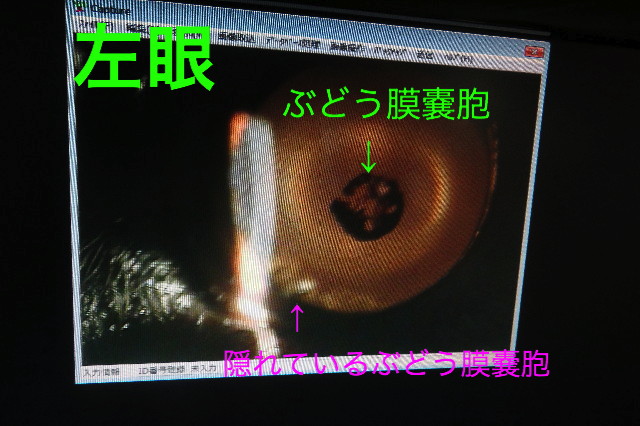 ファイル 6389-3.jpg