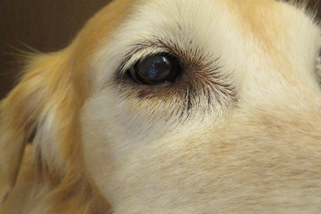 ファイル 6389-4.jpg