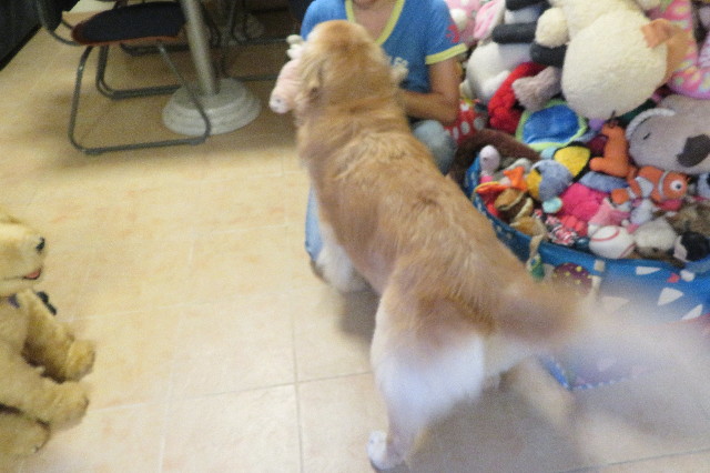 ファイル 6389-5.jpg