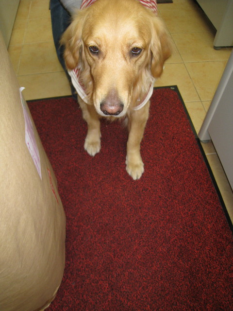 ファイル 639-2.jpg