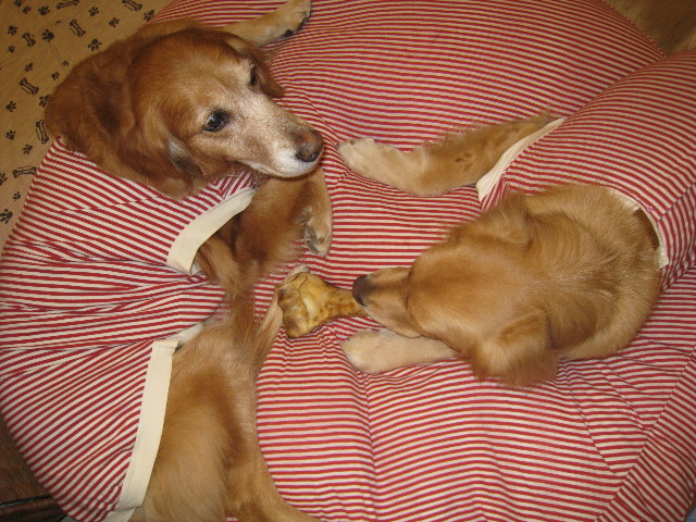 ファイル 639-5.jpg