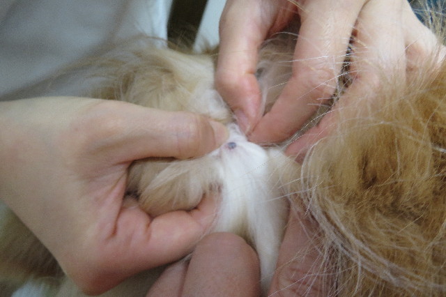 ファイル 6391-1.jpg