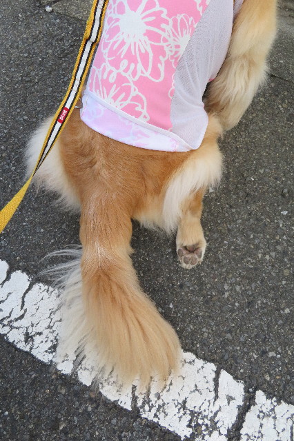 ファイル 6391-2.jpg