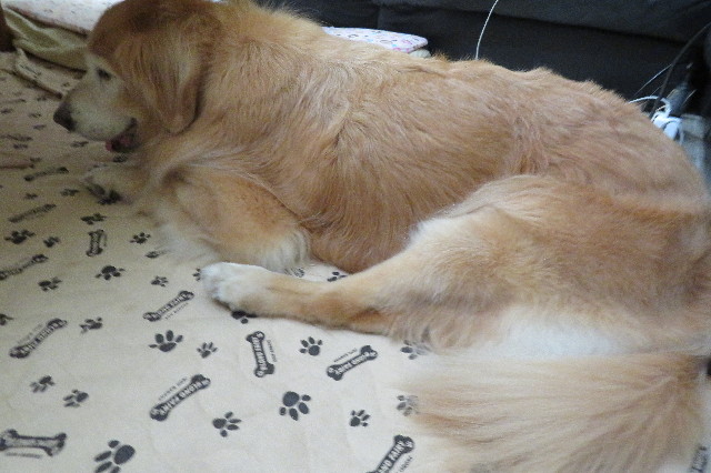 ファイル 6391-4.jpg