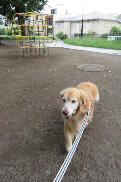 ファイル 6394-1.jpg