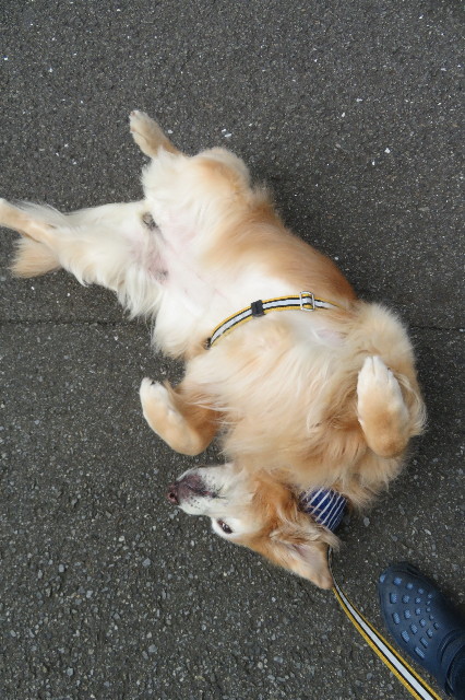 ファイル 6394-4.jpg