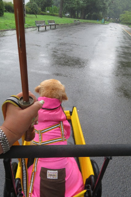 ファイル 6395-4.jpg