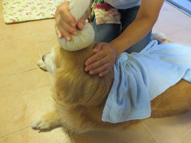 ファイル 6396-4.jpg