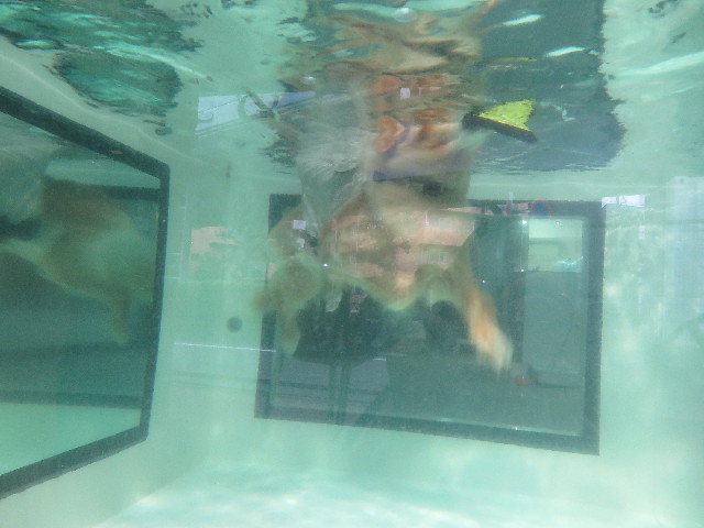 ファイル 6400-4.jpg