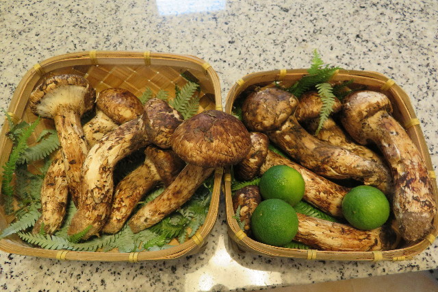 ファイル 6401-3.jpg