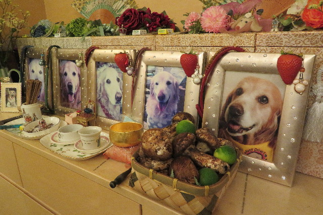 ファイル 6401-5.jpg