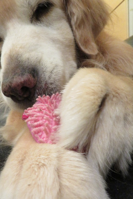 ファイル 6403-4.jpg