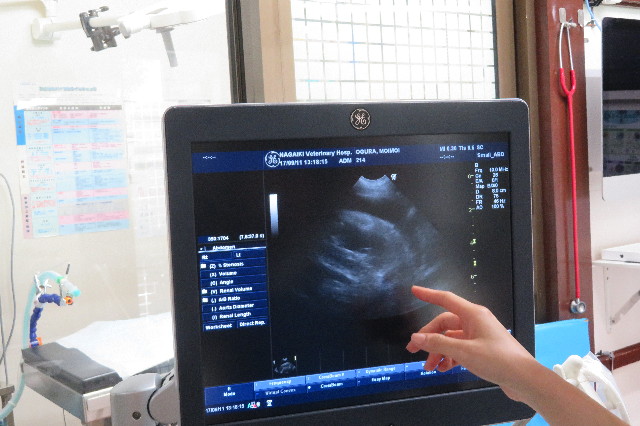 ファイル 6407-3.jpg