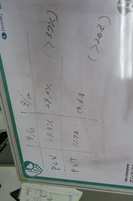 ファイル 6408-4.jpg