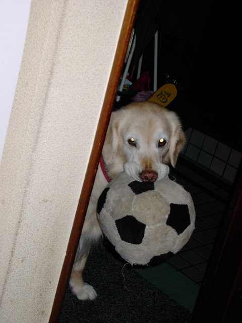 ファイル 641-2.jpg