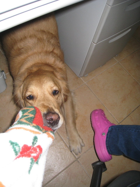 ファイル 641-3.jpg