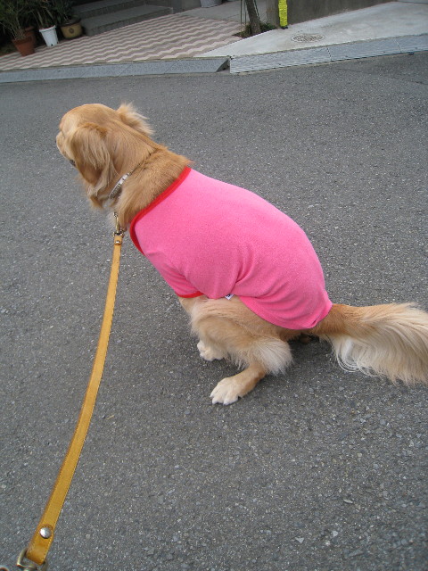 ファイル 641-4.jpg