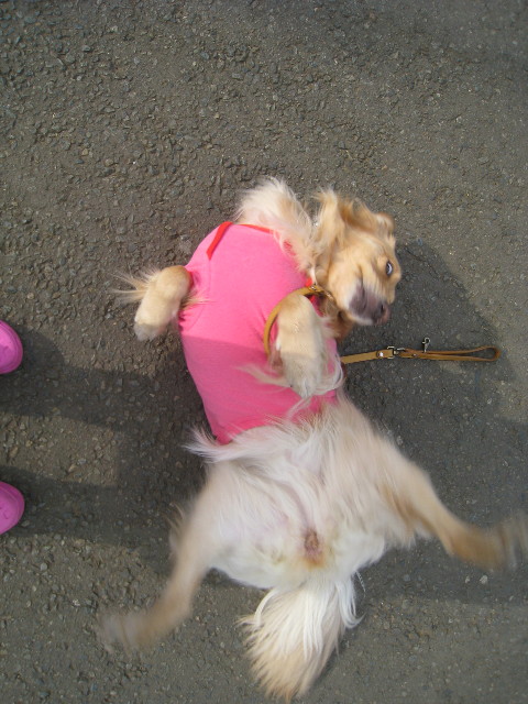 ファイル 641-5.jpg