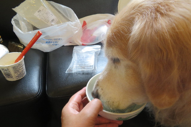 ファイル 6410-3.jpg