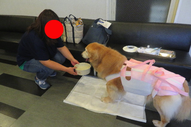 ファイル 6410-5.jpg