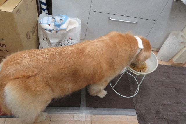 ファイル 6411-5.jpg