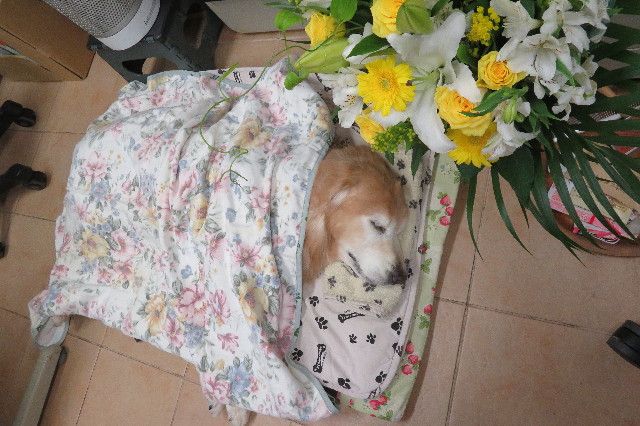 ファイル 6412-3.jpg