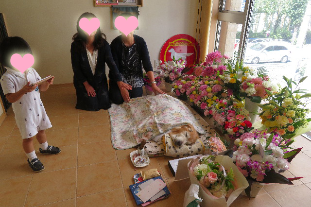 ファイル 6414-1.jpg