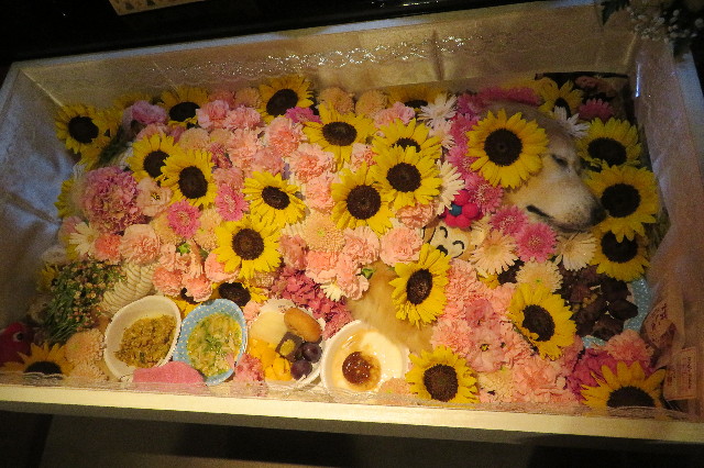 ファイル 6414-2.jpg