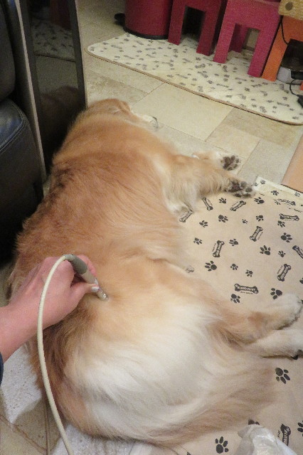 ファイル 6417-3.jpg