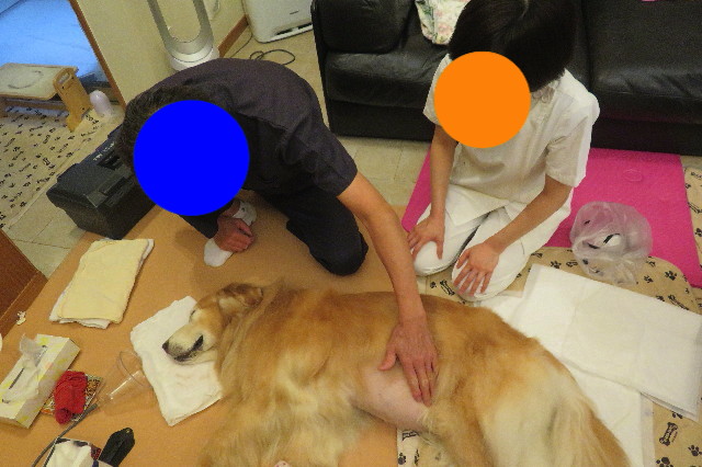 ファイル 6419-2.jpg