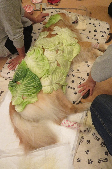 ファイル 6419-3.jpg