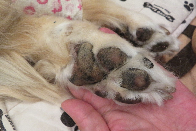 ファイル 6419-5.jpg