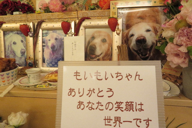 ファイル 6421-2.jpg