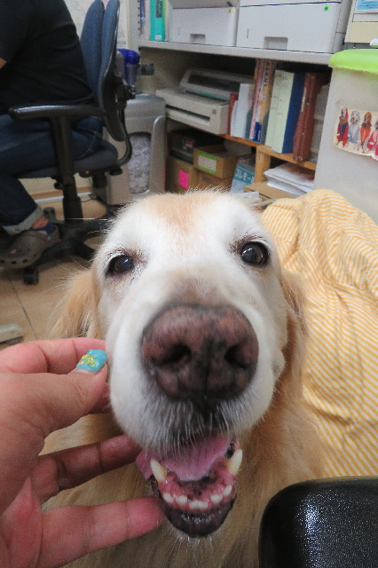 ファイル 6422-1.jpg