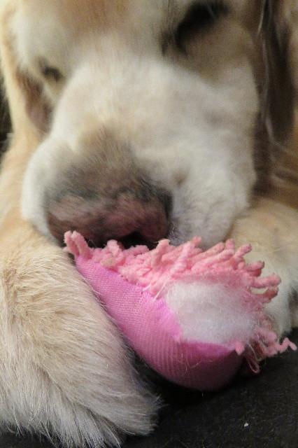 ファイル 6422-4.jpg