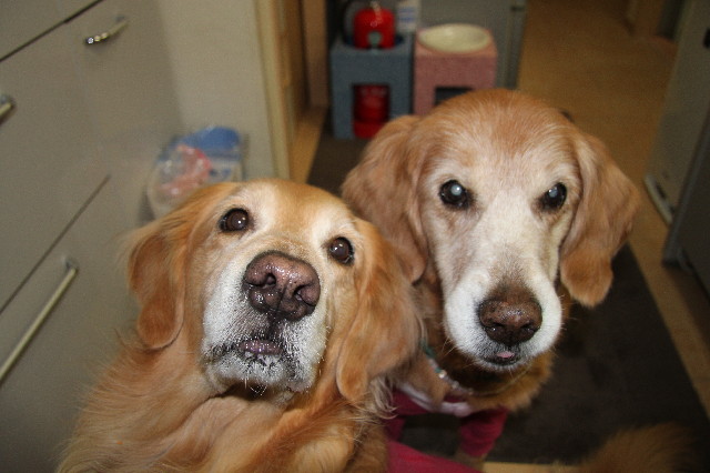 ファイル 6424-2.jpg