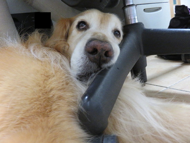 ファイル 6424-3.jpg