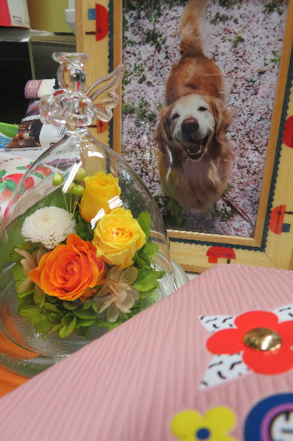 ファイル 6426-2.jpg