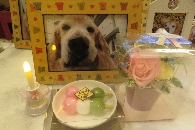 ファイル 6427-1.jpg