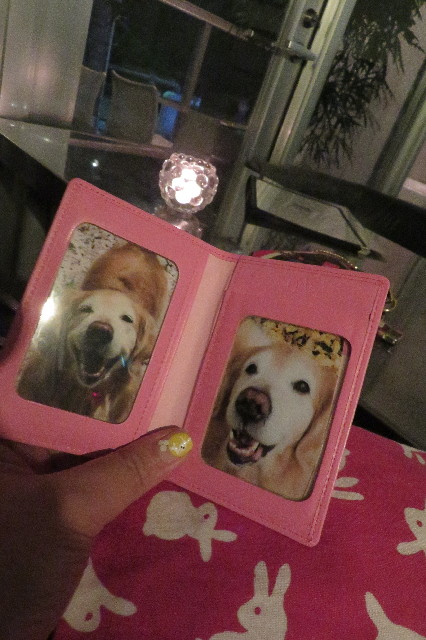 ファイル 6427-2.jpg