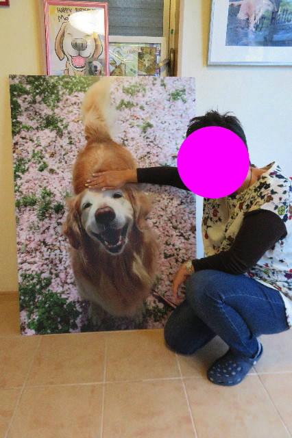 ファイル 6427-4.jpg