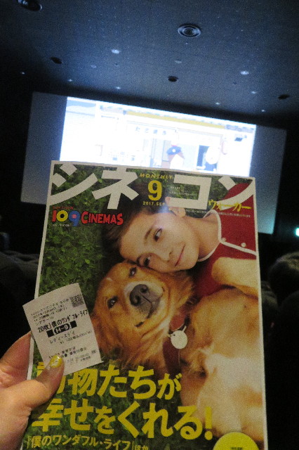 ファイル 6427-5.jpg