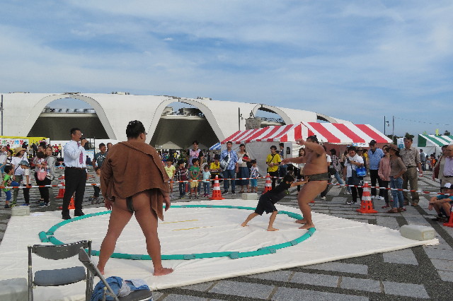 ファイル 6428-1.jpg