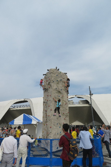 ファイル 6428-3.jpg