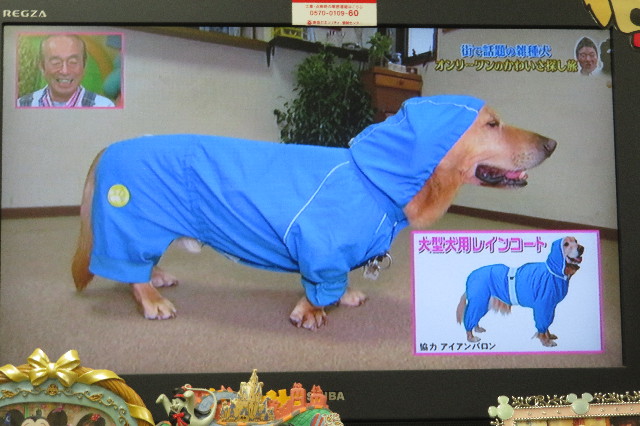 ファイル 6429-5.jpg