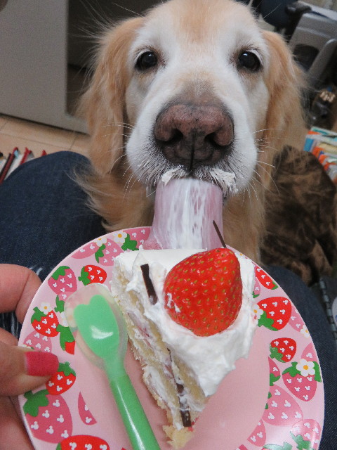 ファイル 6430-2.jpg