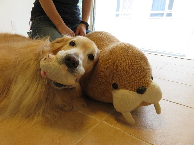 ファイル 6430-3.jpg