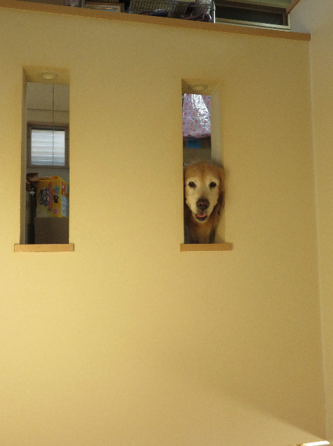 ファイル 6430-5.jpg