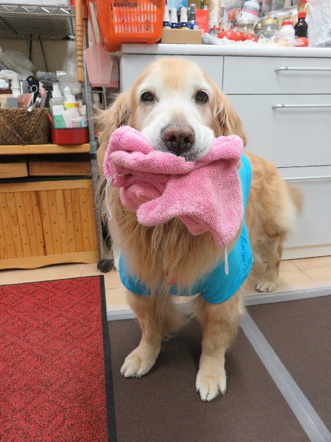 ファイル 6431-5.jpg