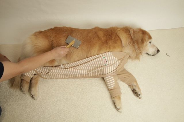 ファイル 6434-4.jpg